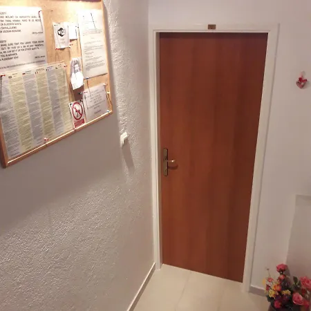サマー ベイ スプリト
